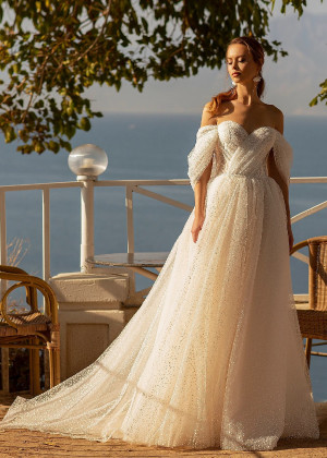 Off Shoulder Ivory Polka Dots Tulle Vintage Wedding Dress